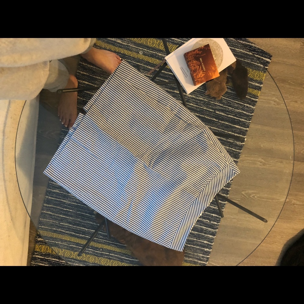 J Crew: The Pencil Skirt